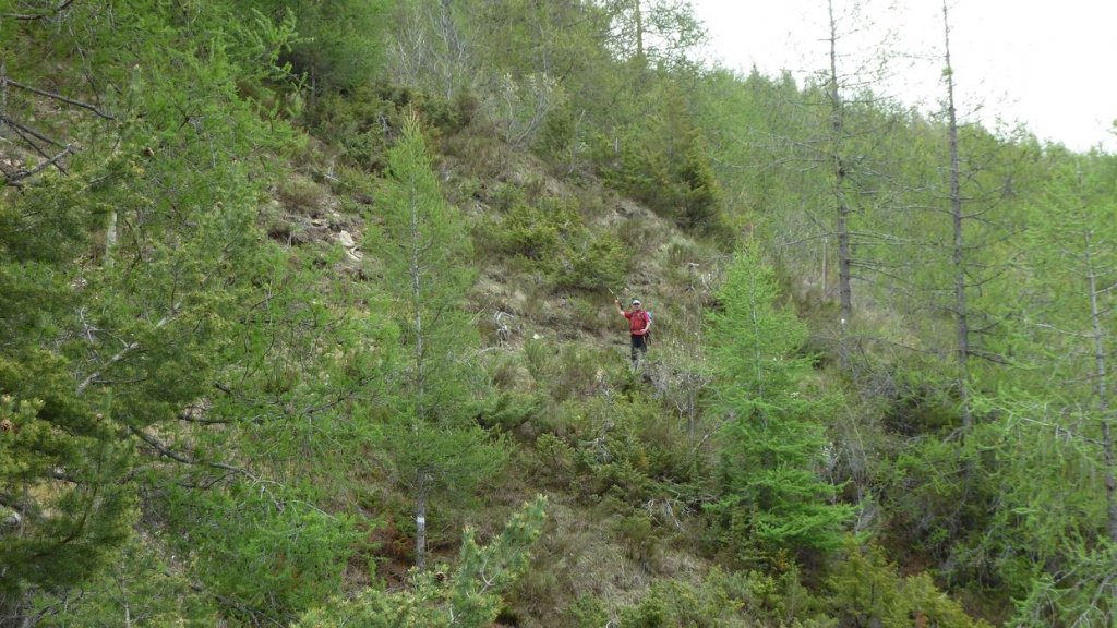P1110529.JPG