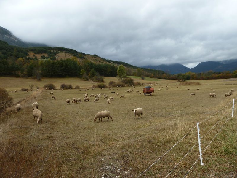 moustier_10_2011_011.jpg