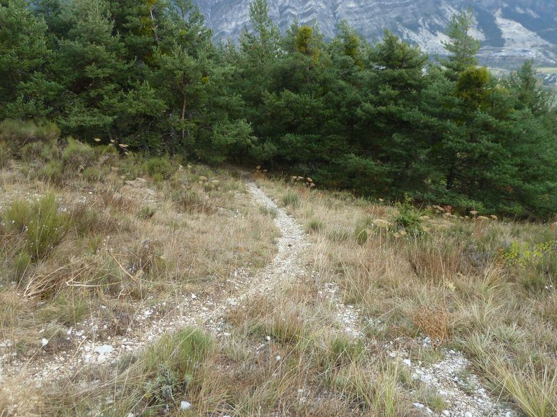 moustier_10_2011_047.jpg
