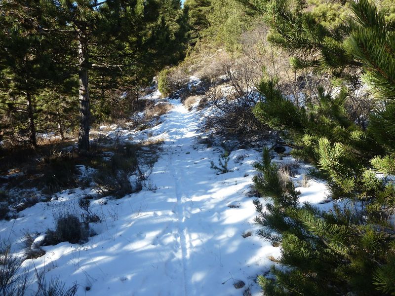 moustiers_dec_2011_029.jpg