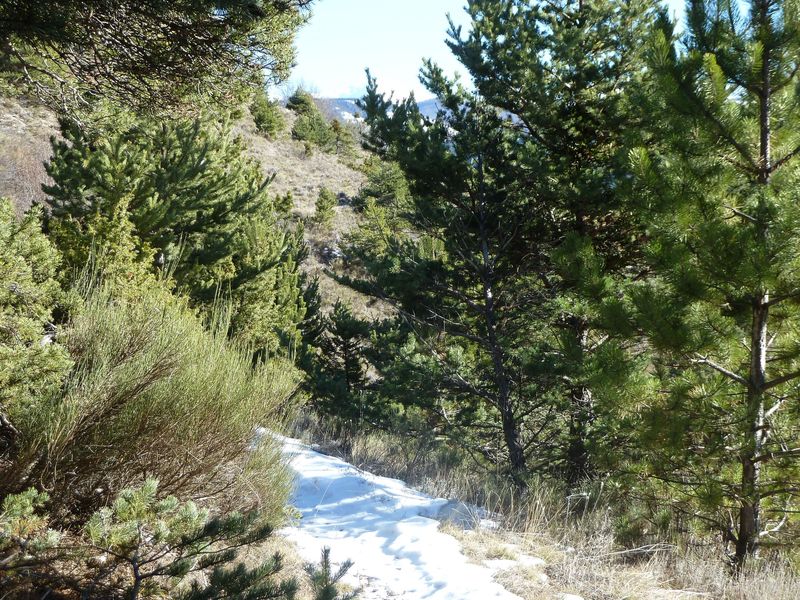 moustiers_dec_2011_031.jpg