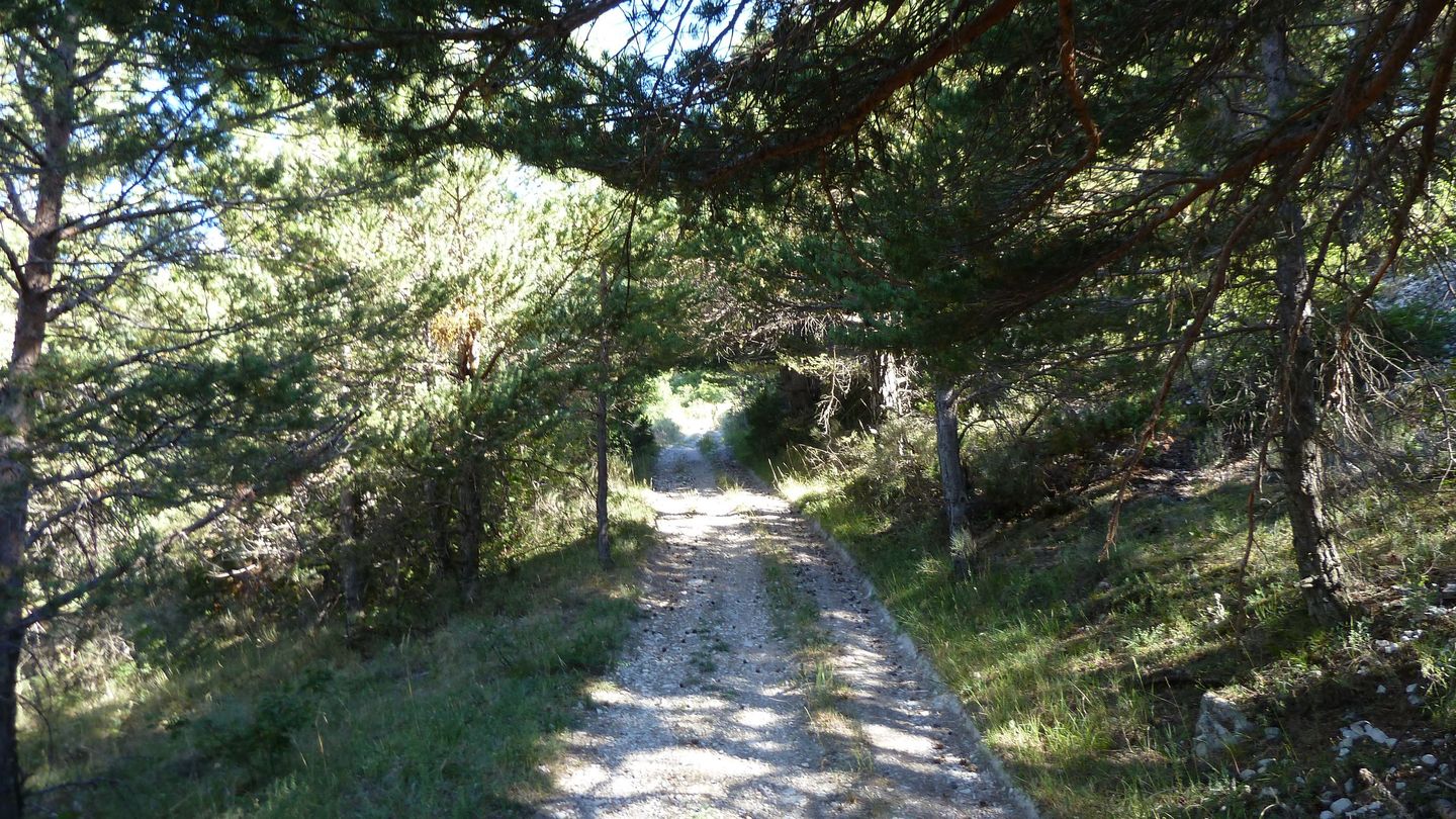 P1010689.JPG
