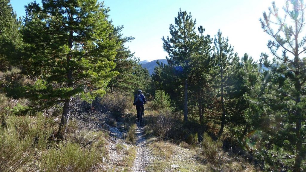 moustiers_nov__2013_050.jpg