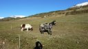 moustiers_nov__2013_012.jpg