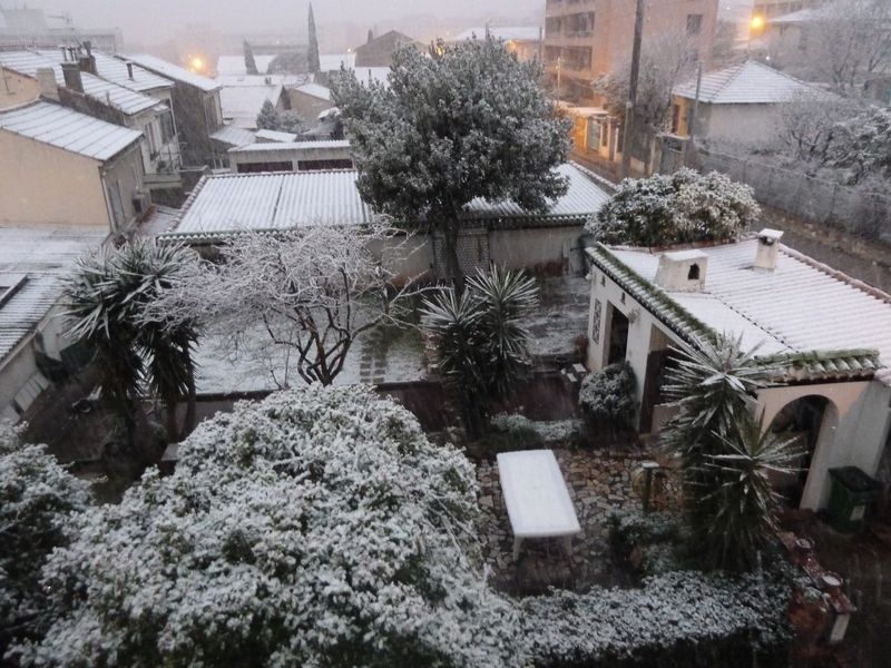 neige_toulon_10022012_034.jpg