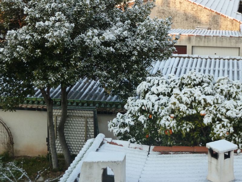 neige_toulon_10022012_046.jpg