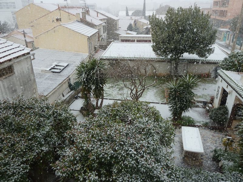 neige_toulon_10022012_056.jpg