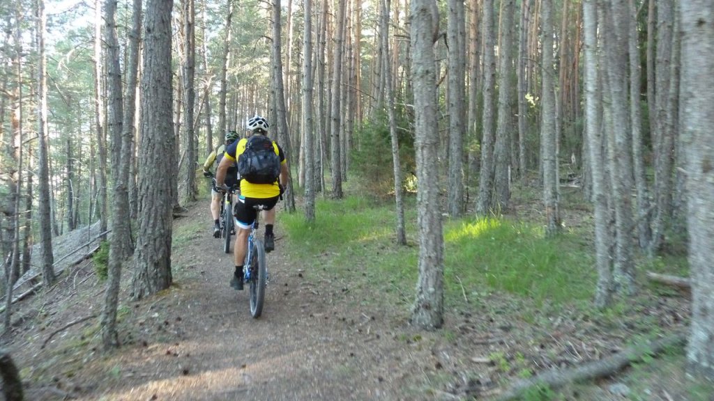ondres_croix_puy_aout_2016_067.JPG