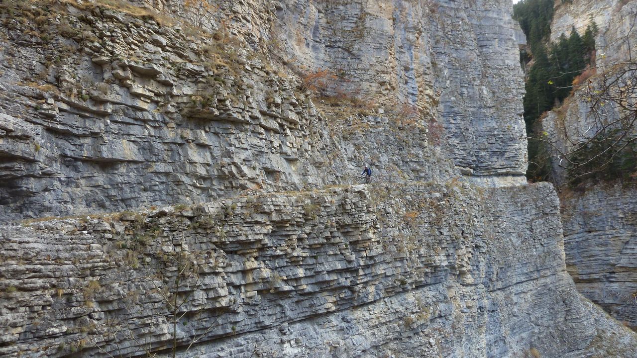 orgeas_oct_2017_88.JPG