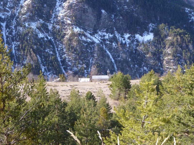 orgeas_apieds_fev_2012_011.jpg