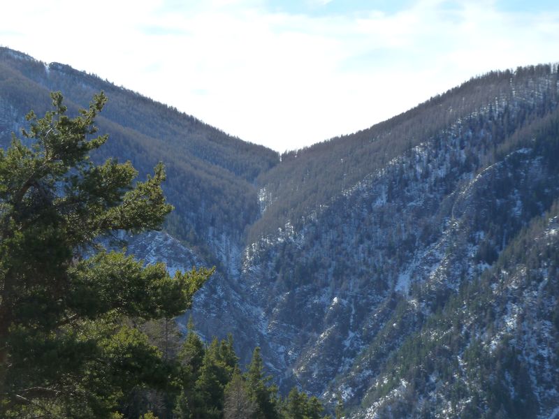 orgeas_apieds_fev_2012_027.jpg