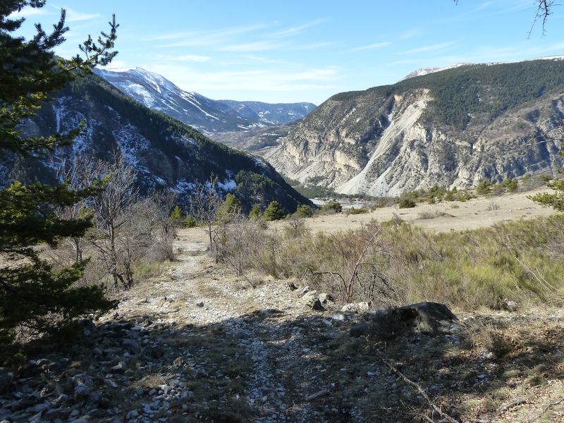 orgeas_apieds_fev_2012_039.jpg