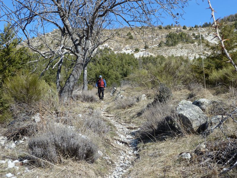 orgeas_apieds_fev_2012_041.jpg