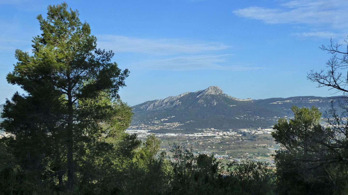 paradis_mont_des_oiseaux_mars_2017_021.JPG
