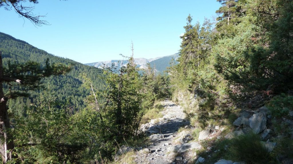 pas_de_l_echelle_2013_010.jpg
