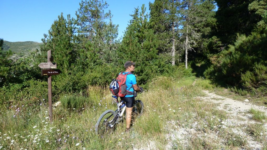 pas_de_la_faye_2013_036.jpg