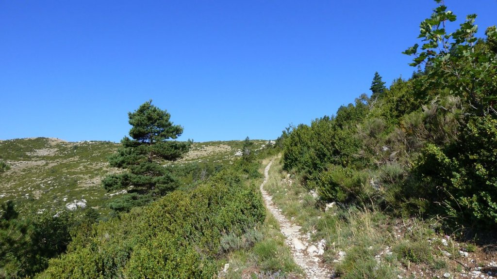 pas_de_la_faye_2013_044.jpg