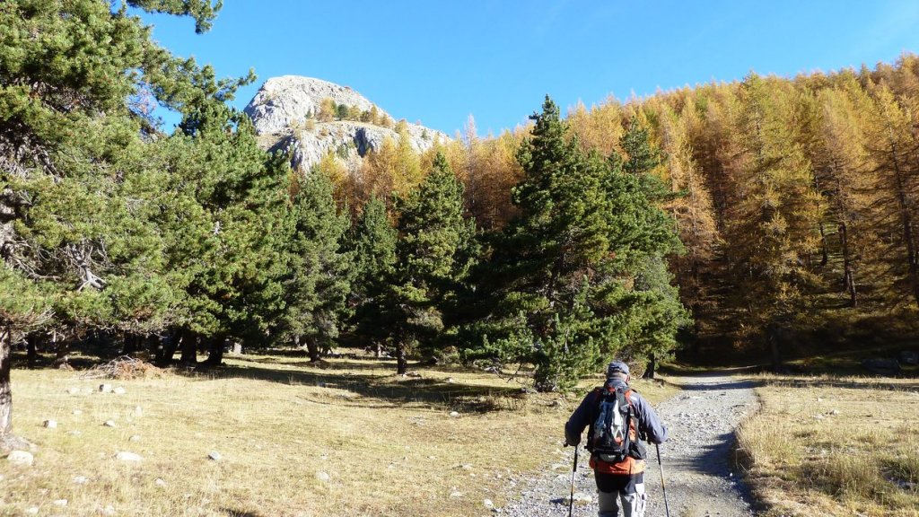 pelat_oct_2013_008.jpg