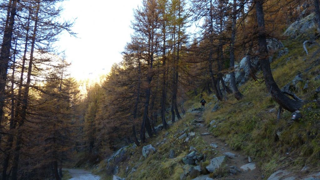 pelat_oct_2013_010.jpg