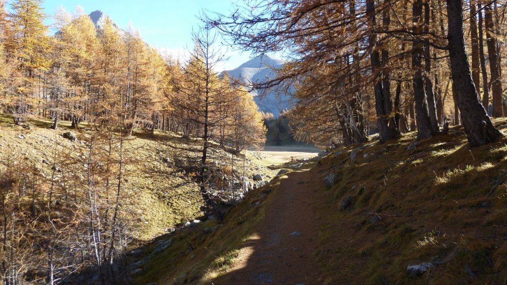 pelat_oct_2013_020.jpg