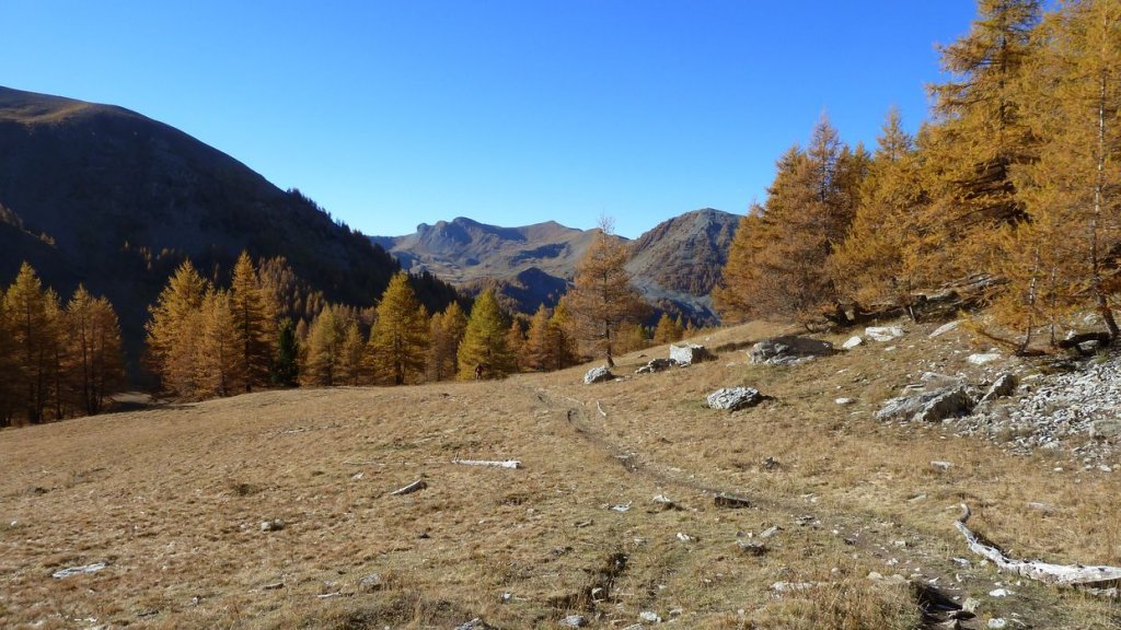 pelat_oct_2013_038.jpg