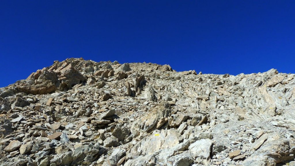 pelat_oct_2013_118.jpg