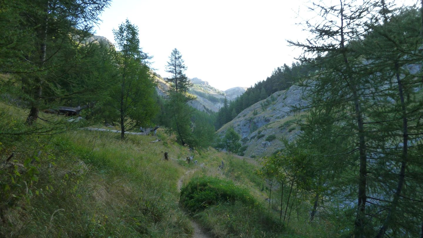 petit_col_talon_2017_058.JPG