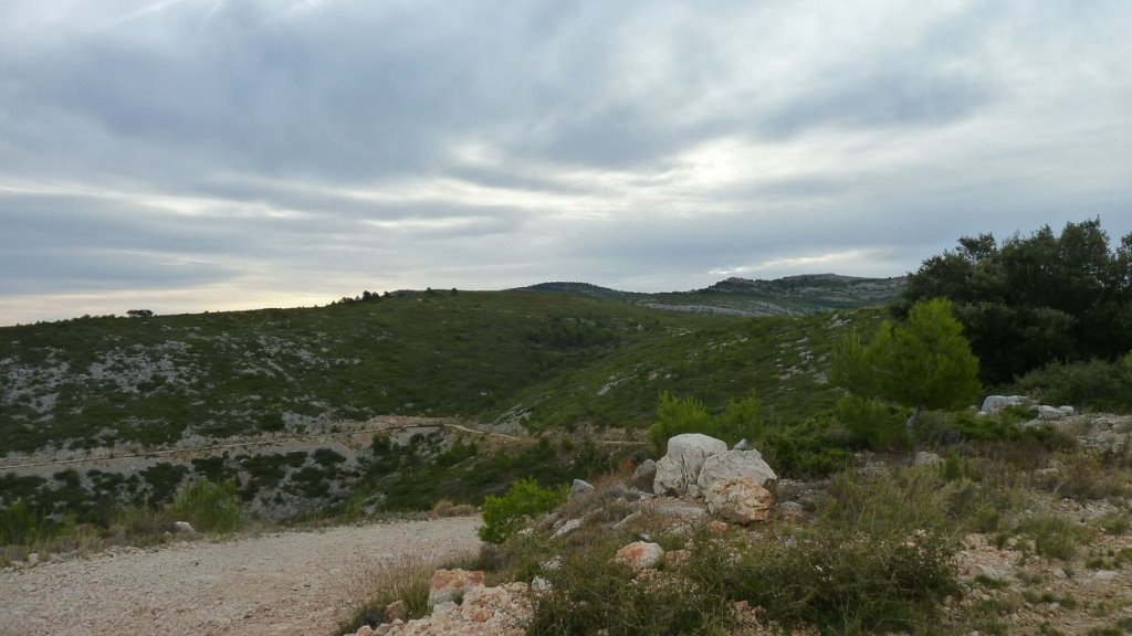 taoume_2015_009.JPG
