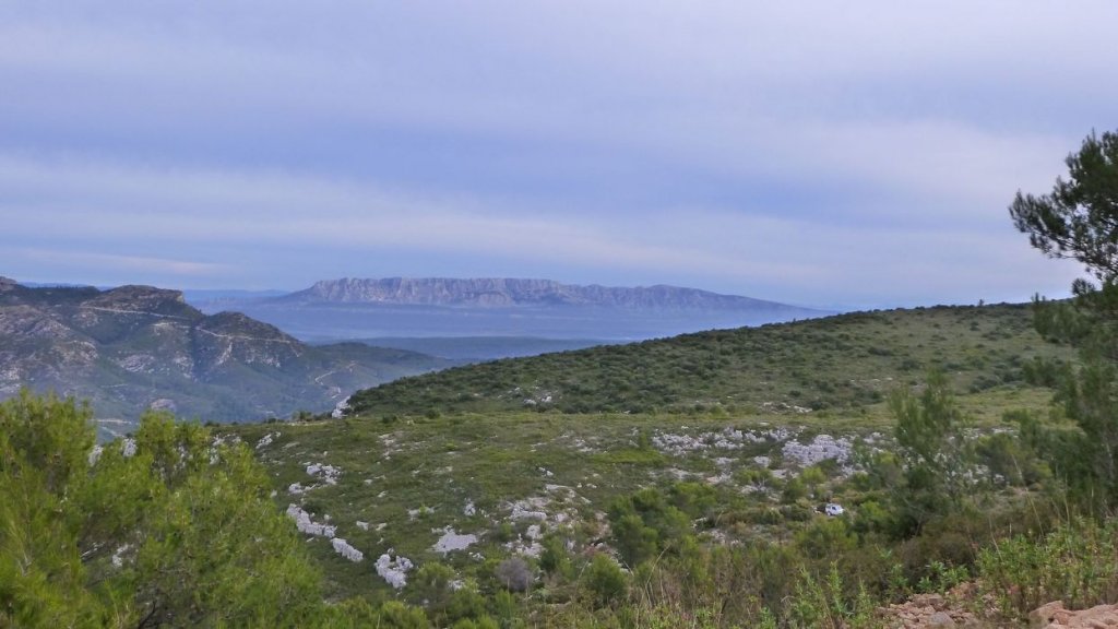 taoume_2015_023.JPG
