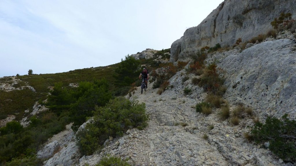 taoume_2015_051.JPG
