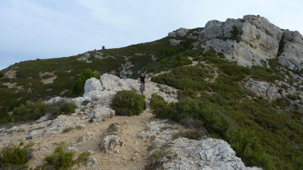 taoume_2015_053.JPG