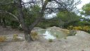 taoume_2015_021.JPG
