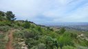 taoume_2015_027.JPG