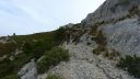 taoume_2015_051.JPG