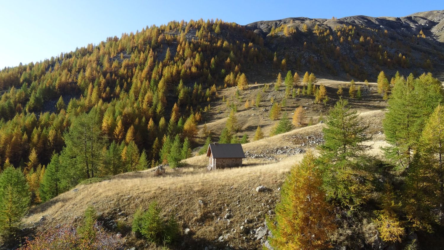 joyeux-chabaud_oct_2019_2019_55.JPG