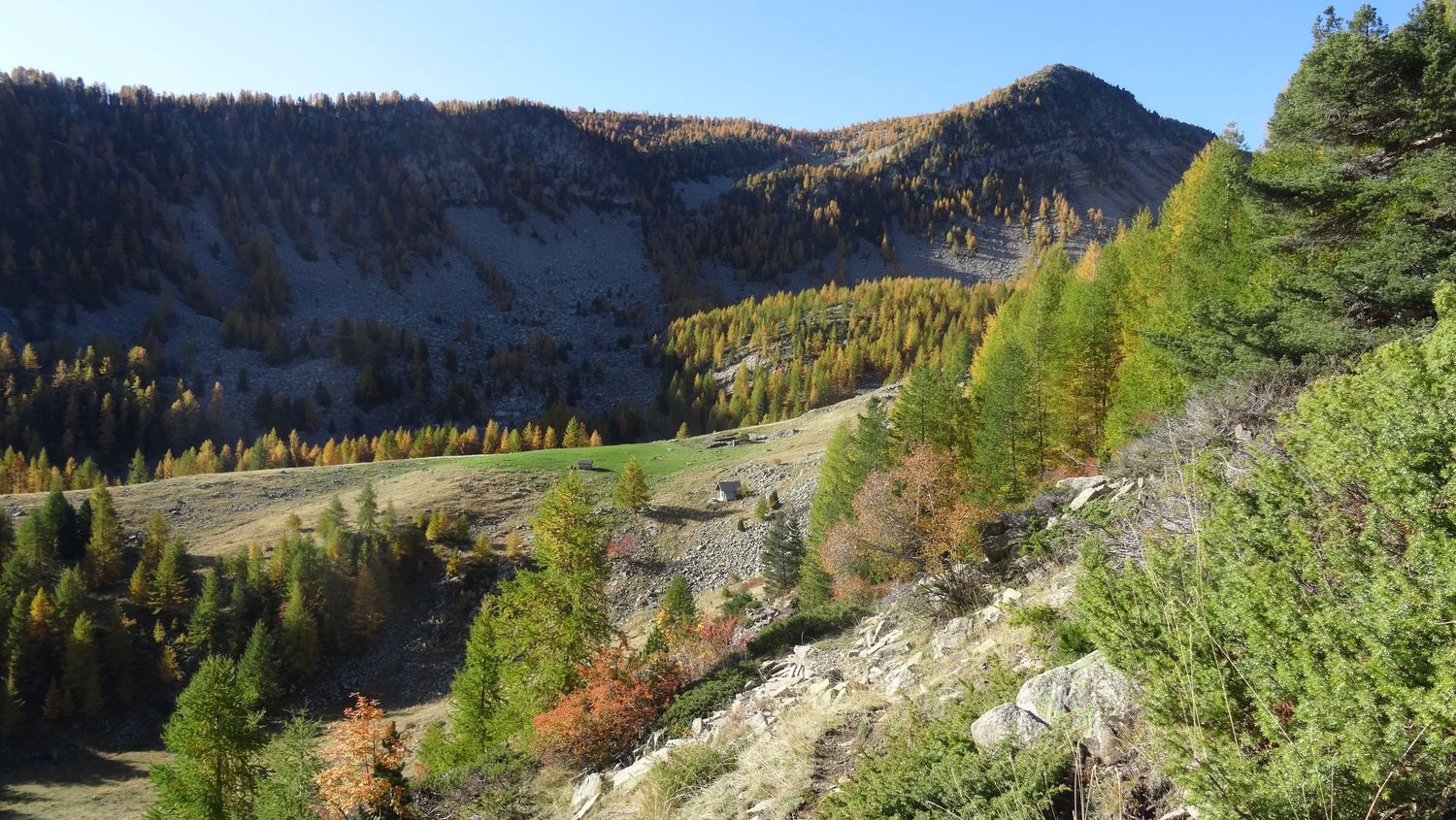 joyeux-chabaud_oct_2019_2019_75.JPG