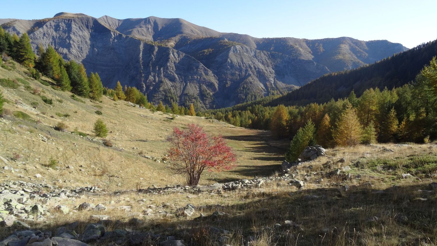 joyeux-chabaud_oct_2019_2019_93.JPG