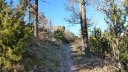 P1160800.JPG