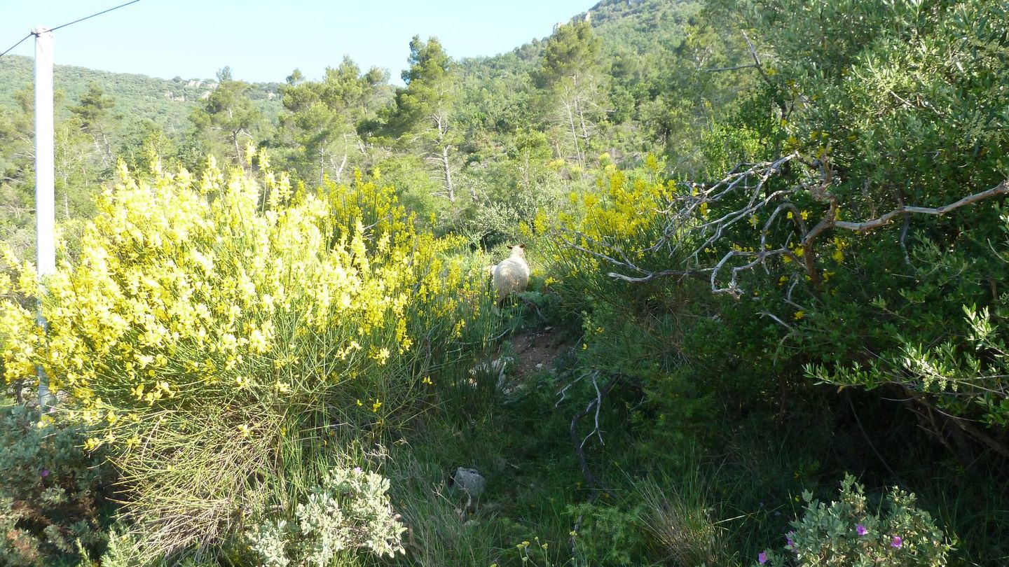 pilon_st_clement_juin_2012_013.JPG