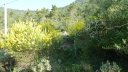 pilon_st_clement_juin_2012_013.JPG