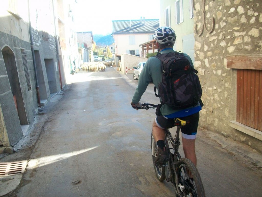 100_7094.JPG