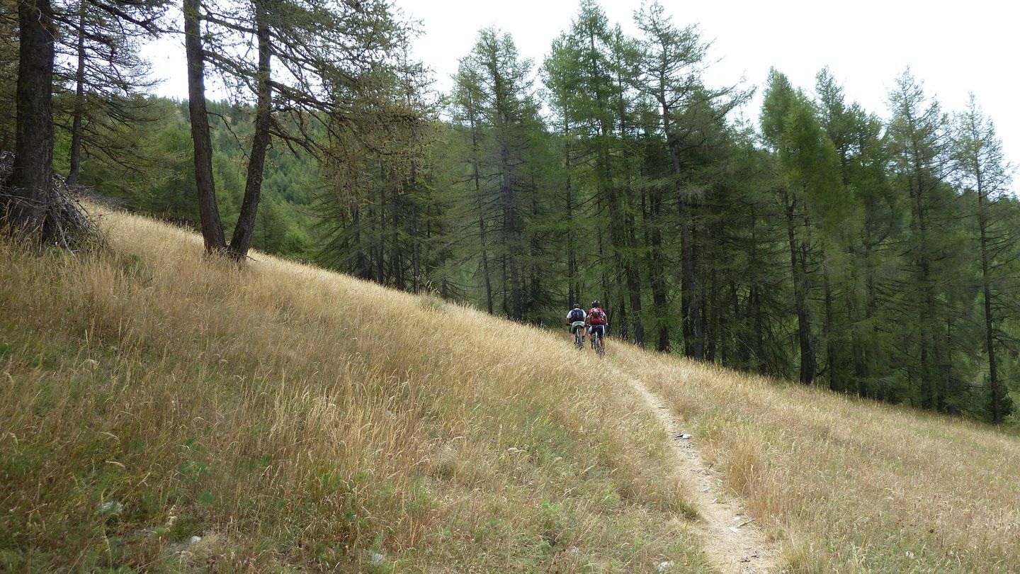 pasquier_serre_carlet_2810029.JPG