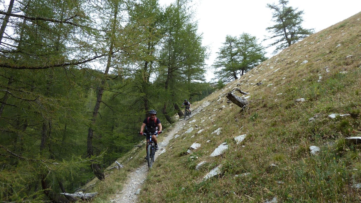 pasquier_serre_carlet_2811129.JPG