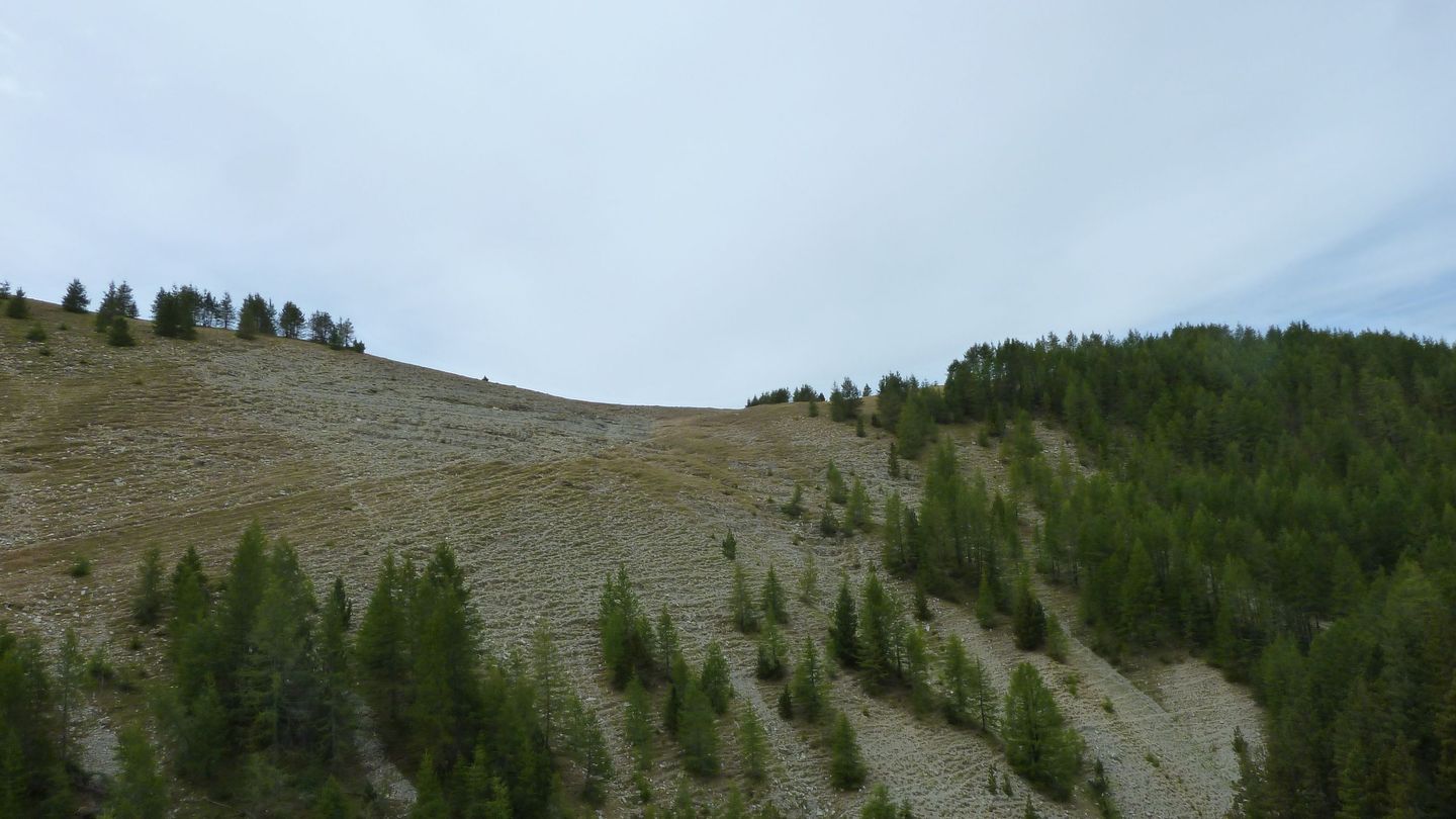 pasquier_serre_carlet_2811529.JPG
