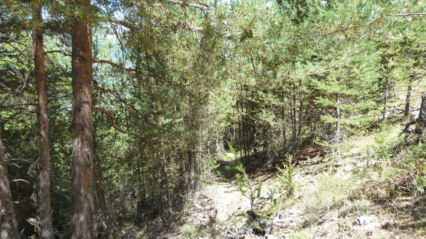pasquier_serre_carlet_2820629.JPG