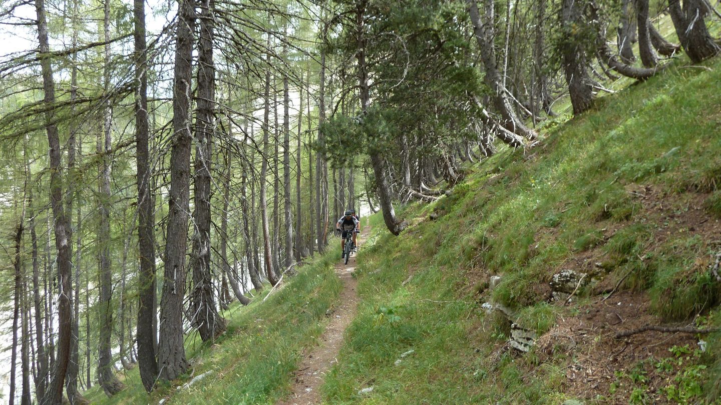pasquier_serre_carlet_289629.JPG
