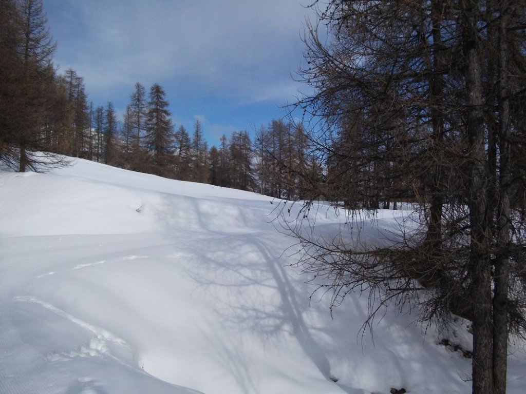 DSCF3315.JPG