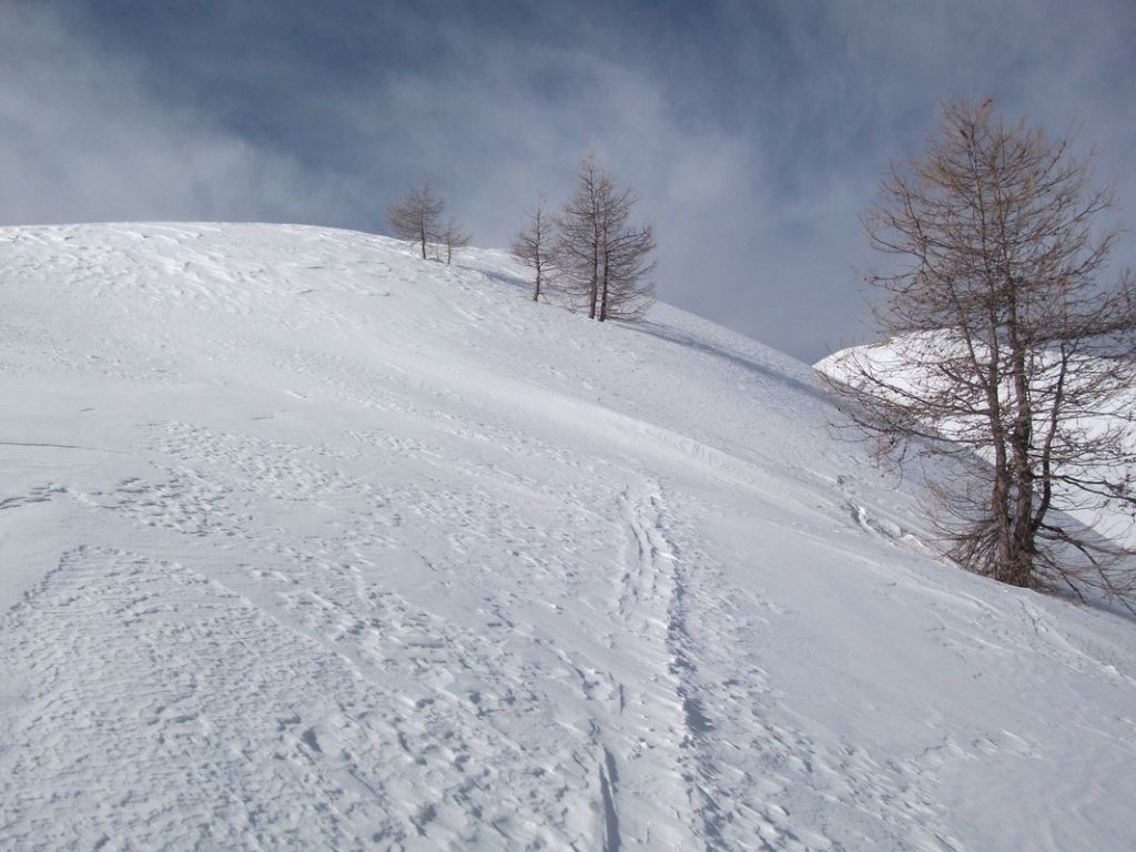 DSCF3325.JPG