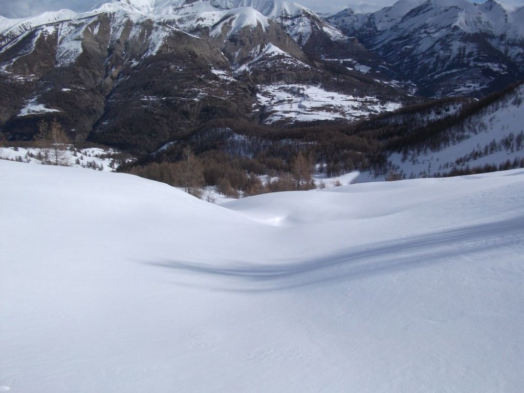 DSCF3335.JPG