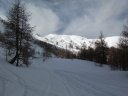DSCF3337.JPG